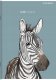 Top 2000 Zeszyt Top 2000 Sweet Animal A5/16k kratka 6