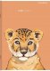 Top 2000 Zeszyt Top 2000 Sweet Animal A5/96k linia 7
