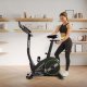 Rower stacjonarny Zipro Rave 9
