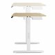 Biurko SENSE7 elektryczne Nojo 120x60 White Pine 4