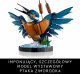 LEGO Icons Zimorodek (10331) 3