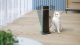Termowentylator Philips HEATER CX5120/11 PHILIPS 9