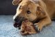 4DOGS Korzeń wrzośca dla psa - gryzak M 3