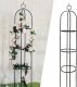Severno Pergola ogrodowa na kwiaty, róże kolumnowa "Persian Yellow" 2