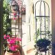 Severno Pergola ogrodowa na kwiaty, róże kolumnowa "Persian Yellow" 3
