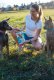 Contipro Geloren Small Dog 180g - Mieszanka uzupełniająca, żelki dla małych psów na stawy 60 szt. 7