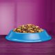 Whiskas WHISKAS Kot Adult Sucha Karma z tuńczykiem 7kg 7
