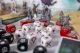 Portal Games Gra Assassins Creed Brotherhood PL 7