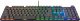 Klawiatura Trust GXT 866 Torix Outemu Red (24910) 2