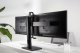 Gembird Stojak biurkowy na 2 monitory 17" - 27" (MS-D2-01) 17