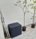 Skrzynia ogrodowa Prosperplast WoodeBox 140 l Antracyt 2