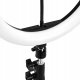 Lampa pierścieniowa Activeshop GLOW lampa pierścieniowa ring 10" RGB bsc ze statywem 10W 11