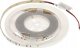 Taśma LED MW Lighting TAŚMA LED LED120-12V/9.6W-CW/5M - 16000&nbsp;K MW Lighting 1