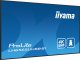 Monitor iiyama ProLite LH6565UHSB-B1 6