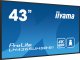 Monitor iiyama ProLite LH4365UHSB-B1 3