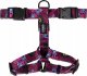 Chaba CHABA SZELKI GUARD STORY ``L`` LAKOTA     2,5/50-57cm 1