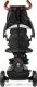 Qplay Qplay Rowerek Trójkołowy Rito Deluxe Rubber Black 5