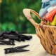 Kadax KADAX Spinacze Klamerki Do Prania Bielizny 20szt 4