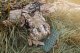 Neo Mata składana do siedzenia 40x30cm 63-160 3