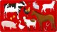 Starpak SZABLON ANIMALS 225X130 2SZT STK PBH 12/144 3