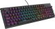 Klawiatura GENESIS Thor 303 - Silent Peach Outemu Peach Silent (NKG-2179) 2