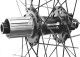 Nexelo Koło MTB Tył NEXELO SUPREME ALLROUND  29 cali, 36H, Pod Sztywną Oś 12mm 3