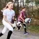 Froster Koń na Kiju - Hobby Horse Skippi - Karo-Srokaty 10