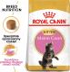 Royal Canin Kitten Food Maine Coon 36 Dry Mix 10kg 5
