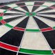 Triton DART SIZALOWY 45CM OFFICIAL CHAMPIONSHIP ENERO PRO 4