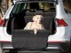 DOGGY R1 ADVENTURE OXFORD CZARNY 2
