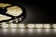 Taśma LED ECOLIGHT2 Eco Light* EC79092 taśma LED 24W 4.8W/M LED 5M 4000K 200lm biała 12