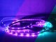 Taśma LED ECOLIGHT2 Eco Light EC79367 taśma LED 72W 14.4W/M LED 5M RGB biała 5