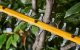 Dewalt DEWALT NOŻYCE DO ŻYWOPŁOTU 54V FV DCMHT573X1 1x9,0Ah 65cm 31mm 7
