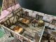 Battle Systems Ltd BattleSystems: Tavern 5