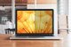 Filtr 3M Bpnhp001 Display Privacy 3