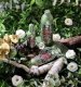 Conter TESORI Żel pod prysznic 250ml Forest Ritual 4
