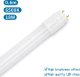 Aigostar  Świetlówka LED Szklana rurka świetlna T8 0.6m 8W LED Szklana rurka świetlna T8 0.6m 8W 2