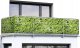 Maximex Osłona balkonowa z wzorem bluszczu, 5 m x 85 cm 1