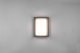 DELIGHT Trio Witham 677860142 plafon lampa sufitowa zewnętrzna IP54 1x14W LED 2300-4000K antracytowy 12