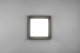 DELIGHT Trio Witham 677860142 plafon lampa sufitowa zewnętrzna IP54 1x14W LED 2300-4000K antracytowy 2