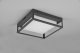 DELIGHT Trio Witham 677860142 plafon lampa sufitowa zewnętrzna IP54 1x14W LED 2300-4000K antracytowy 7
