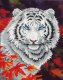 DIAMOND DOTZ Haft diamentowy Diamond Dotz Tygrys 44x55cm DD7006 1