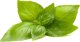 Click And Grow Click & Grow Smart Refill Lemon Basil 3pcs 1