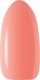 Claresa CLARESA N Żel budujący do paznokci Soft&Easy Builder Skin Cover 90g 3