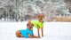DOGGY S 35 KURTKA LUMI ODBLASKOWA JASNOZIELONA + NIEBIESKA 7