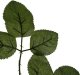 Gardlov Sztuczne liście 47cm- zestaw 12szt. Gardlov 22557 6