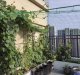 Gardlov Siatka - podpora do roślin 2x20m Gardlov 23980 10