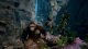 Skull Island: Rise of Kong (PS5) 4