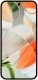 Smartfon Pixel 9 5G 12/256GB Porcelanowy  (GA05843-GB) 2