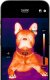 Seek Thermal Kamera termowizyjna Nano 300 CQ-DBAX dla Android z USB-C 320x240, 25hz 5